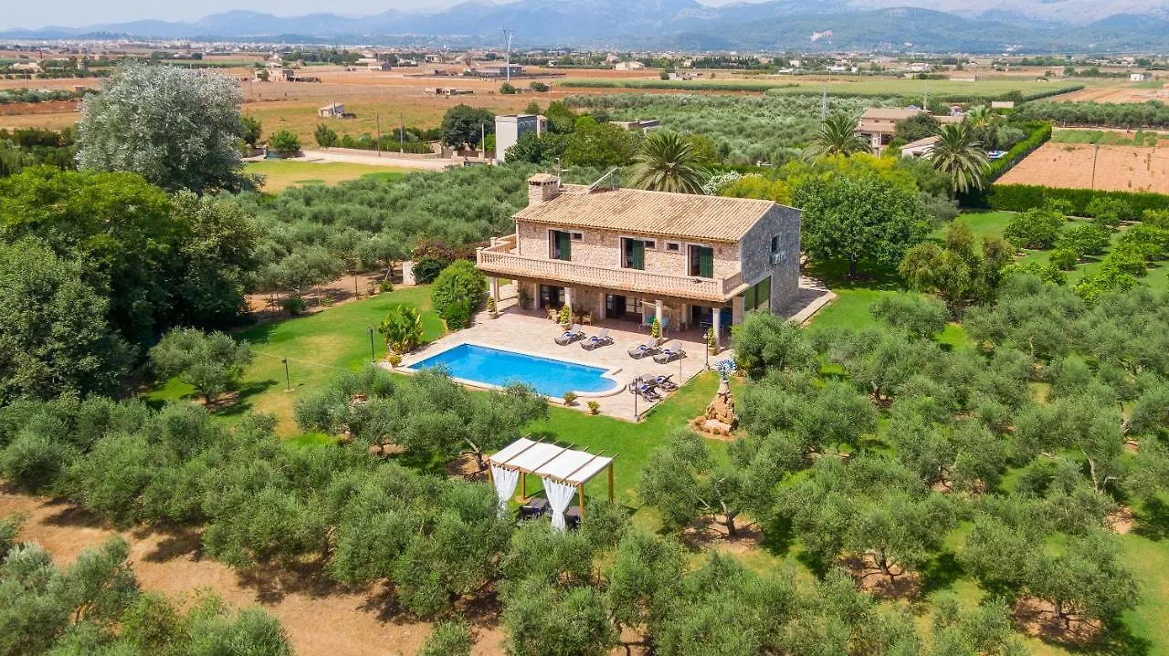 Villa Lagoon Sa Pobla Spain
